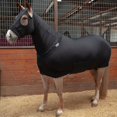thumbnail image 1 of Sleazy Sleepwear For Horses Full Body Sleazy Purple S, 1 of 4