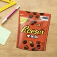 thumbnail image 3 of REESE'S Minis PEANUT BUTTER CUPS Candy, 3 of 7