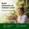 thumbnail image 2 of Flora Flor•Essence with Turkey Tail & Turmeric Liquid Tea Blend, Natural Full Body Cleanse, Detox & Immunity - Organic Ingredients - Pure Vegan Formula - Burdock Root, Sheep Sorrel - 500mL, 2 of 7
