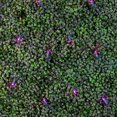 thumbnail image 4 of Novelty Lights 4x6 Purple LED Net Lights, Outdoor Hedge & Bush Lighting, 4 of 5