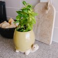 thumbnail image 3 of Linen Chest Green Turtle Planter, 3 of 5