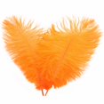thumbnail image 2 of Ostrich Feather 30-35Cm Colorful Feather Decoration 79# Orange N Feather (1*Feather), 2 of 7
