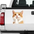 thumbnail image 1 of CEHVOM Car Stickers And Decals,Car Stickers Funny,Stickers For Cars,Cute Orange Stickers Car Stickers Window Stickers, 1 of 6