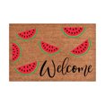 thumbnail image 1 of Summer Doormat Outdoor Coir Industrial Mat Outdoor Rug for Garage Floor Summer Rug Home Decorations Outdoor Super Absorb Mud Front Door Mats Perfect for Indoor and Outdoor Use, 16x24 Inch, 1 of 4