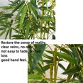 View all media
