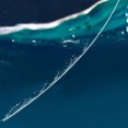 thumbnail image 3 of 1PC 220M Super Strong Fishing Line Monofilament Nylon Fishing Line Main Line Leader Fishing Wire Line For Lure Sea Fishing Pesca, 3 of 10