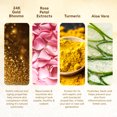 thumbnail image 4 of VLCC Gold Facial Kit, Gold Face Cleanser and Hydrating Toner, 7 Pc, 4 of 9