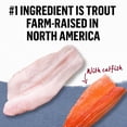 thumbnail image 4 of Beyond Sans Grains Recette de Truite et de Poisson-chat Nourriture Humide pour Chats 85g, 4 of 9