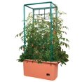 thumbnail image 2 of Hydrofarm GCTR 10 Gal Tomato Garden Planting System & 4' Trellis Tower on Wheels, 2 of 6