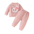 thumbnail image 1 of GDREDA Girls Two Piece Outfits Baby Girl Cute Rabbit Embroidered Long Sleeve Top + Solid Color Pants Set Wool Woven Long Sleeve Pants Pink,18-24 Months, 1 of 9
