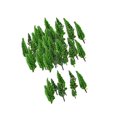 thumbnail image 2 of pitrice 50x Train Scenery Mixed Miniature Trees for Layout Accessories DIY Material Cypress Tree, 2 of 9