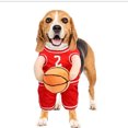 thumbnail image 4 of Thinsony Fun Basketball Clothing For Dogs Must-have For Sports Fans Providing Safe Basketball Clothes Red M, 4 of 6