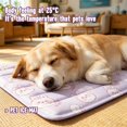 thumbnail image 3 of Outdor Ice Mat For Cats Self Gel Pad No Electricity Needed Floor Wear, 3 of 5