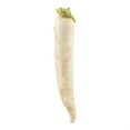 thumbnail image 3 of Radis Daikon, Vendue individuellement, 0.28 - 1.85 KG, 3 of 3