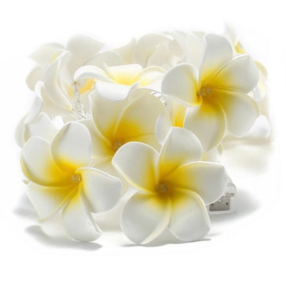 Guirlandes Lumineuses DEL, Guirlande de Fleurs Frangipanier, Étanche, pour Décoration de la Maison Rideau de Chambre, Extérieur