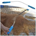 thumbnail image 5 of Stainless Steel Dual-Sided Pet Grooming Tool: 2-in-1 Shedding Comb for Long & Short Haired Dogs/Cats with Rounded Teeth for Fur Removal and Smooth Edge for Sweat/Water Scraping, Hanging Hole Handle, 5 of 5