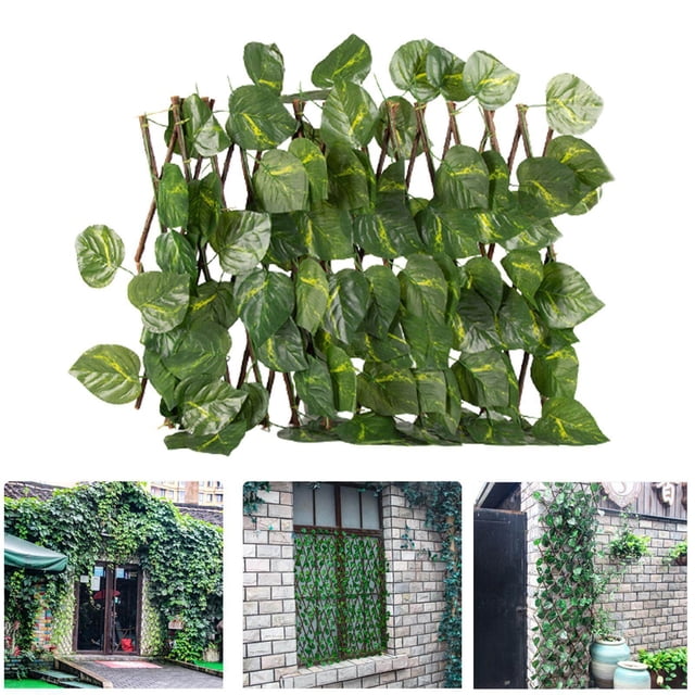 Langgg Clôture de Jardin Rétractable Écran d'Intimité Extérieur Feuilles Persistantes