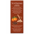 thumbnail image 3 of ScentSationals 100% Essential Oil - Comfort, 3 of 8
