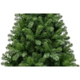 thumbnail image 5 of Puleo 6.5ft Dixon Pine Tree, 5 of 5