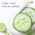 thumbnail image 3 of Dove Advanced Care Antiperspirant Deodorant Stick Cool Essentials, 74 g, 3 of 6