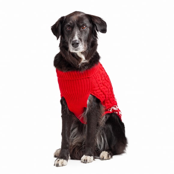 One Paw, Dog Sweater, Cottage Chunky, Multiple Sizes, Red
