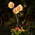 thumbnail image 3 of Solar Lights Outdoor 3 Led Solar Taraxacum Lamp Outdoor Waterproof Plastic Garden Stake Lamp, Automatically Closed for Garden Channel Decorationsolar Lights Outdoor Garden, 3 of 6