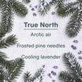 thumbnail image 4 of LITTLE TREES air freshener True North 6-Pack, 4 of 10