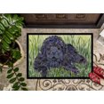 thumbnail image 3 of Carolines Treasures SS8872JMAT 24 x 36 in. Newfoundland Doormat, 3 of 4