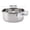 A, variant on Stainless Steel Bird Feeder Food Box With Water Cup