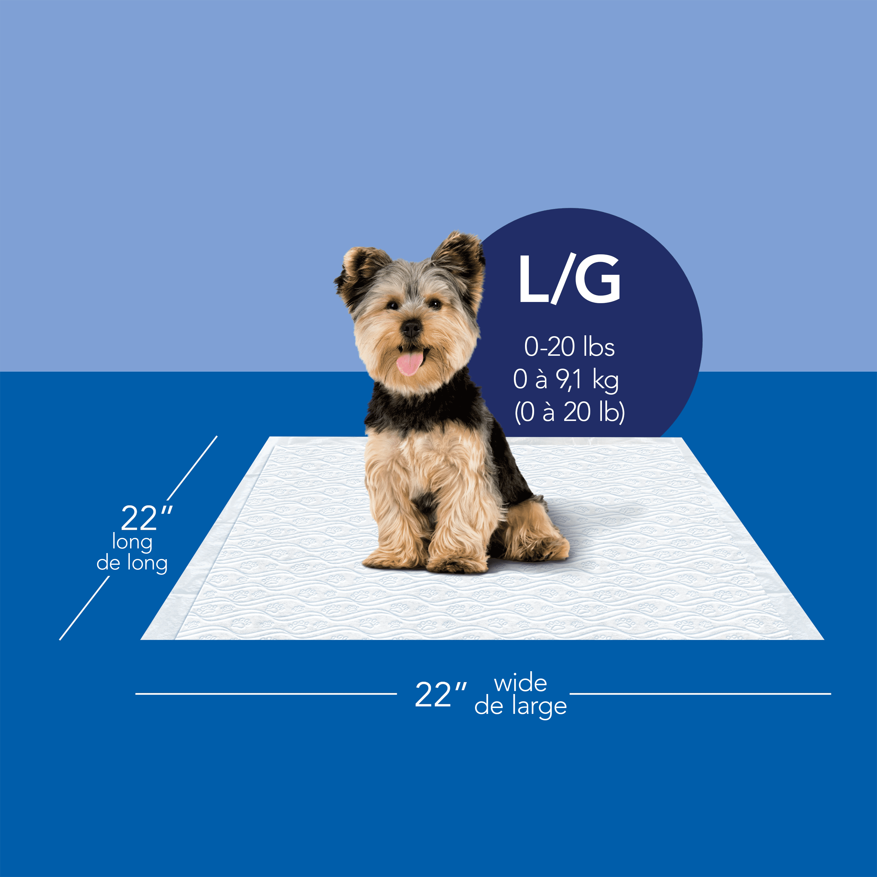 Scott Pet Guard Tapis pour Chiens - Tapis d'Entraînement à la Propreté pour Chiots, Chiens Moyens et Grands - jusqu'à 12 Heures d'Absorption et Contrôle des Odeurs - Tapis de Propreté pour Chiens Faciles à Jeter - Taille Grande - 22 Pouces x 22 Pouces - Lot de 50