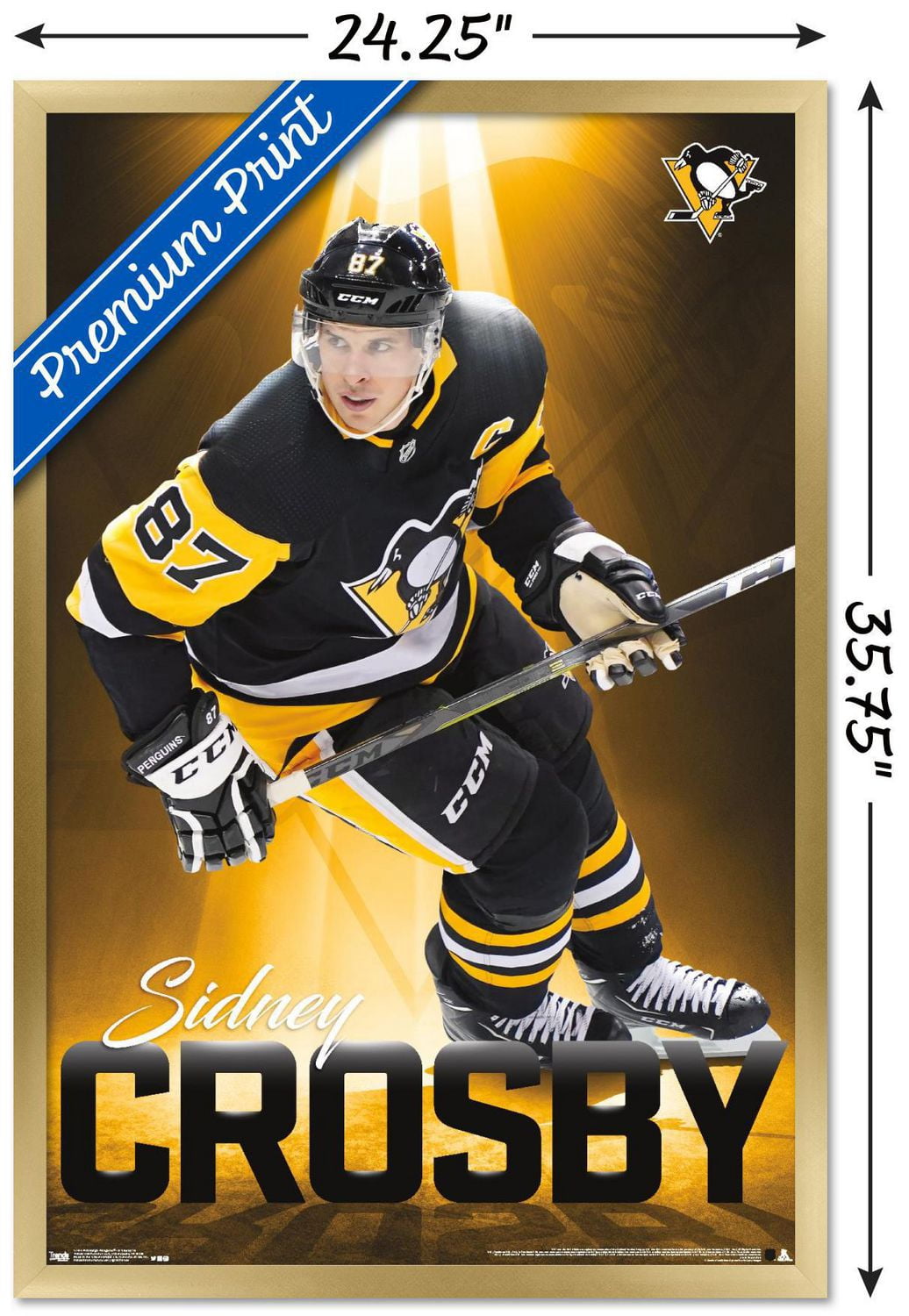 NHL Pittsburgh Penguins - Sidney Crosby 18 Wall Poster