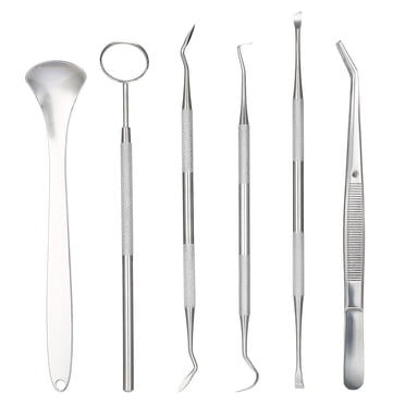 Yeacher 6Pcs Stainless Steel Tools Kit Dentist Tooth Hygiene Picks Mirror Kit Oral Health Tooth Cleaning Inspection Cleaner