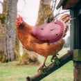 thumbnail image 1 of RKSTN Chicken Saddle Hen Apron Hen Protective Cover with Elastic Hen Wing Protective Cover, 1 of 2
