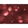 thumbnail image 1 of Ahgly Company Tapis Rectangulaire Lavable en Machine Intérieur Transitionnel Rouge Bordeaux, 7 Pieds x 10 Pieds, 1 of 7