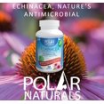 thumbnail image 2 of Polar Naturals Echinacea 60 Softgels, 2 of 5
