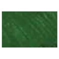 thumbnail image 1 of Richeson SP121242 Oil Paint Artist Color Chrome Oxide Green, 1 of 2