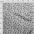 thumbnail image 3 of oneOone Georgette Viscose Gray Fabric Florals Craft Projects Decor Fabric Printed By The Yard 42 Inch Wide, 3 of 4