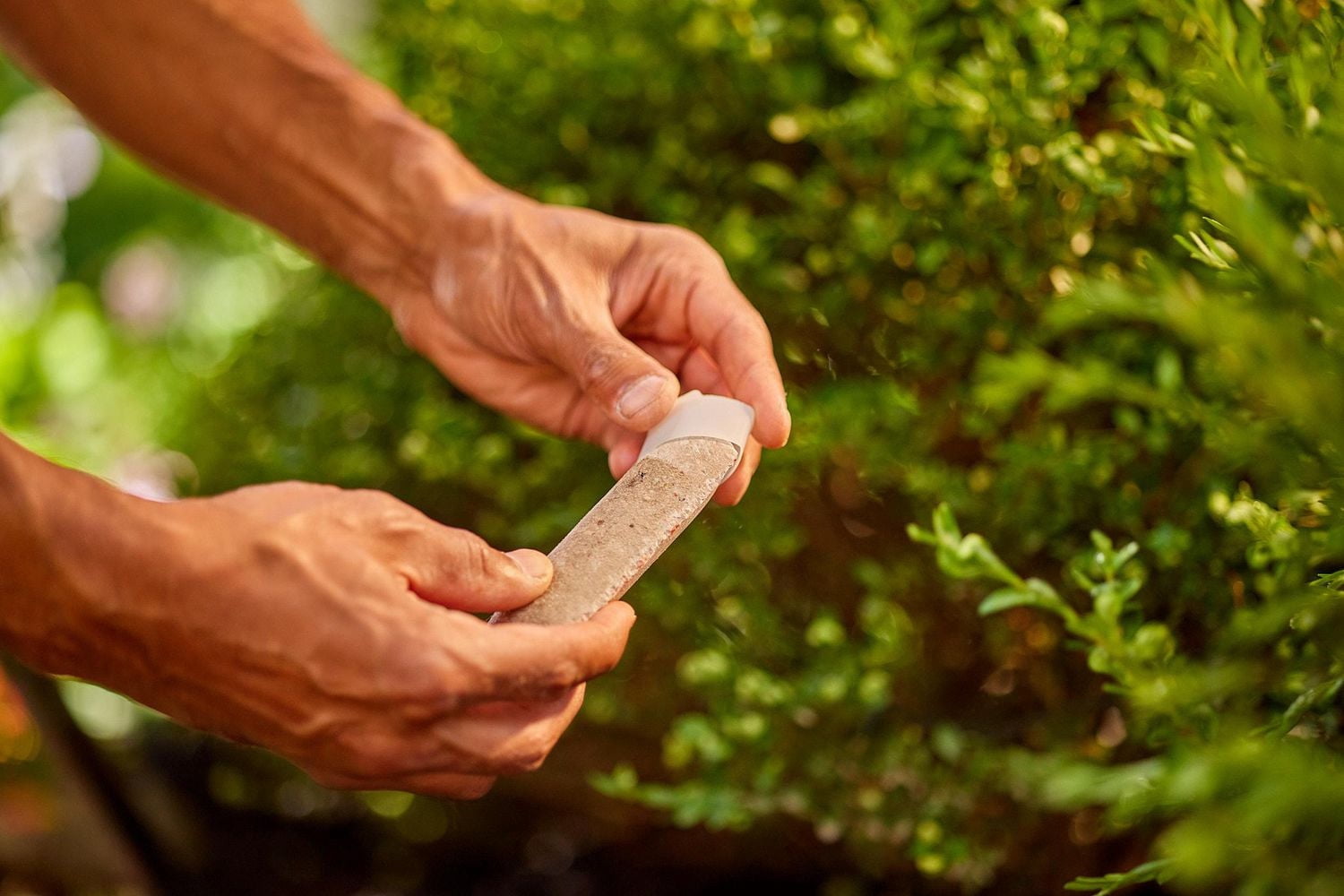 Bâtonnets d'engrais pour arbres et arbustes Miracle-Gro® 15-5-10
