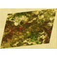 thumbnail image 1 of Ahgly Tapis Rectangulaire Lavable en Machine Intérieur Transitionnel Brun Bronze Foncé, 7 Pieds x 10 Pieds, 1 of 7