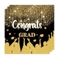 thumbnail image 1 of Graduation Party Supplies Disposable Paper Napkins Multicolor 20 Pack for Graduation Ceremony Party Table Decorations, 1 of 8