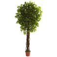 thumbnail image 1 of Nearly Natural 5379 Ficus de 7,5 Pi Résistant aux UV - Intérieur-Extérieur, 1 of 5