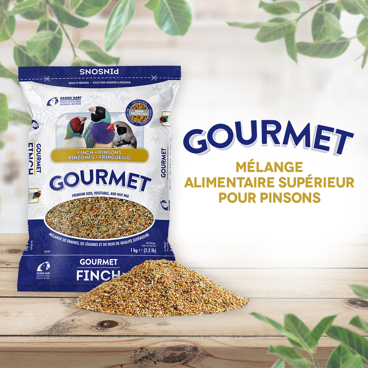 HARI Gourmet Premium Seed Mix for Finches - 1 kg (2.2 lb)