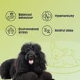 thumbnail image 2 of Gruffies Calming Dog Treats, 2 of 8