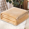 thumbnail image 1 of Flannel Fleece Blanket Twin Size - Soft Lightweight Plush Microfiber Bed Blanket for Sofa or Couch, Machine Washable Blankets Fleeces 27.5×39.3In, 1 of 3