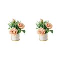 thumbnail image 1 of mmirethe Fake Peony Silk Hydrangea Flower Realistic Appearance Artificial Flowers With Vase Simulation Flower Set Low Maintenance rose Champagne 2Set, 1 of 6