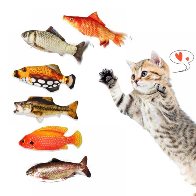 AMERTEER USB Rechargeable Electric Floppy Fish Cat Toy (lithium Battery Capacity 150mAh)