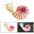 thumbnail image 2 of Prehistoric Sea Creatures Figurine Marrella Animal Figures Educational Ancient Model For Cake Topper School Project Toy Funny Curiosity Toy, 2 of 4