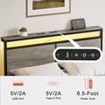thumbnail image 4 of GUNAITO LED Platform Bed Frame, Queen Size with Headboard and 4 Storage Drawers, Gray, 4 of 8