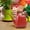 red, variant on RKSTN Graden Watering Can Outdoor Plants, Plant Watering Can, Long Spout Watering Can for Indoor Bonsai Plants Garden Flowers 1/2 Gallon 2L