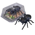 thumbnail image 2 of Drppepioner Fidget Juguete,Realistic Interactive Insect Juguete Collection for Educational Play Indoor Outdoor Use, 2 of 9